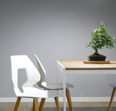 Dining table and white chairs image